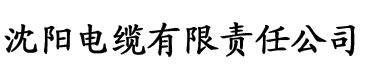 无码精品久久一区二区三区电缆厂logo